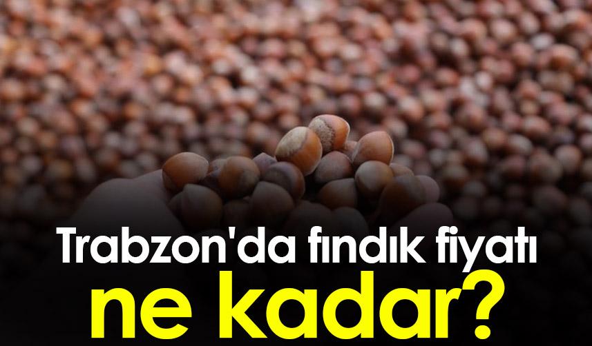 Trabzon'da fındık fiyatı ne kadar? Fındık fiyatları