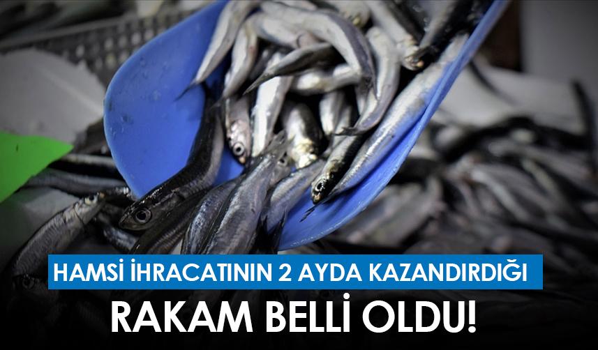 Hamsi ihracatının 2 ayda kazandırdığı rakam belli oldu!