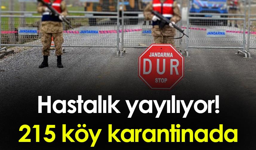 Şap Hastalığı yayılıyor! Zonguldak'ta 215 köy karantinada