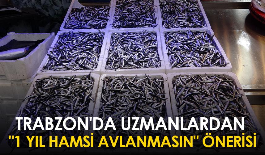 Trabzon'da uzmanlardan "1 yıl hamsi avlanmasın" önerisi
