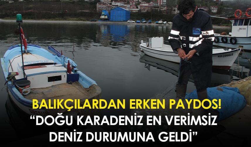 Doğu Karadeniz en verimsiz deniz durumuna geldi! Balıkçılar erken paydos etti!