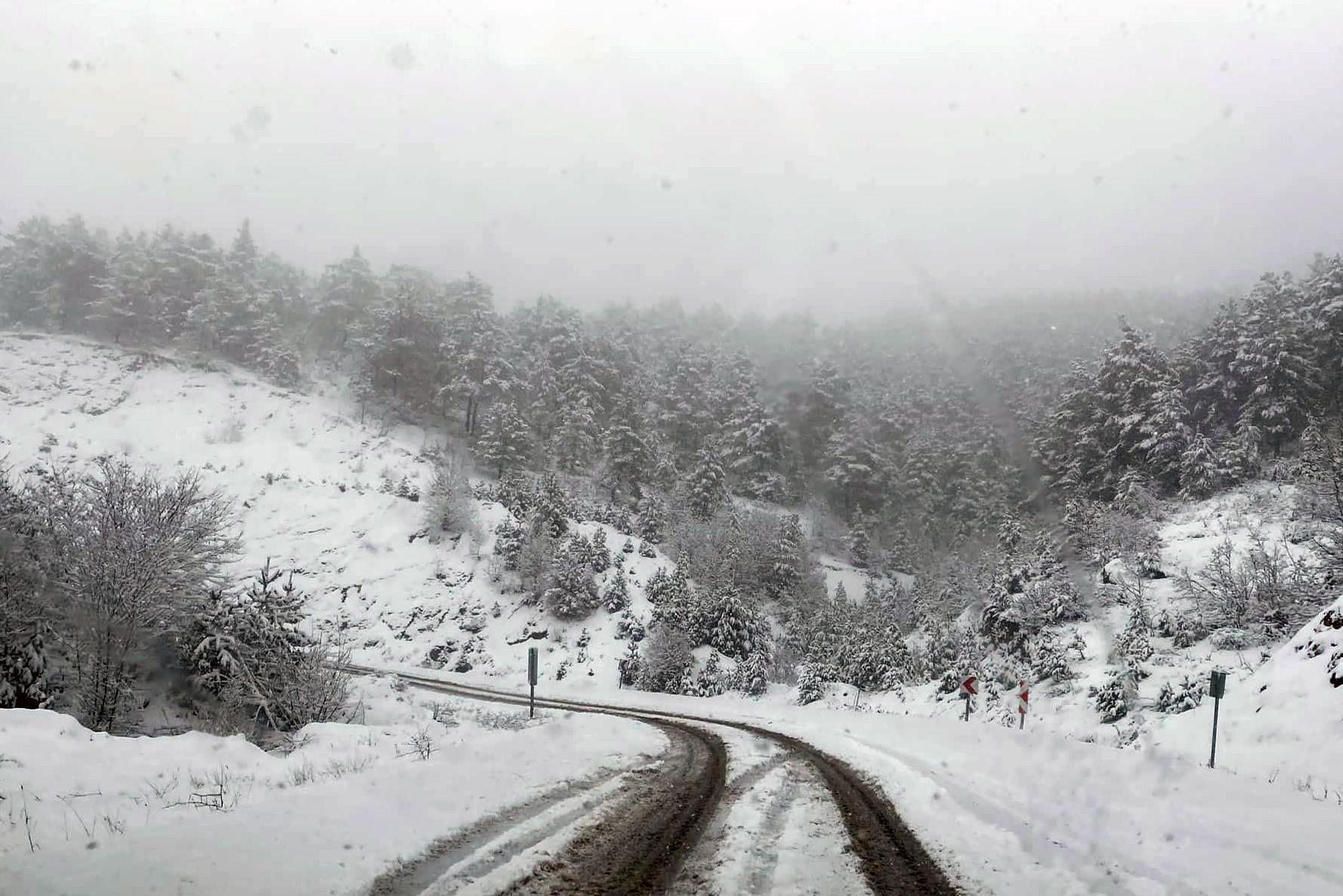 Gümüşhane'de kar yağışı etkili oluyor