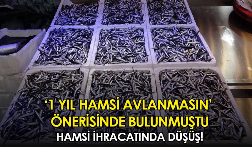 '1 yıl hamsi avlanmasın'önerisinde bulunmuştu Hamsi ihracatında düşüş