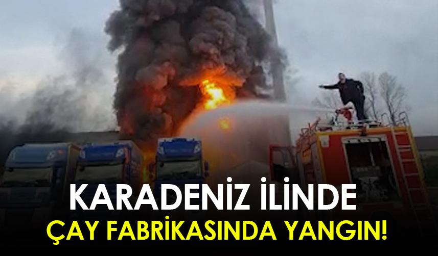 Artvin'de ÇAYKUR Fabrikasında yangın!