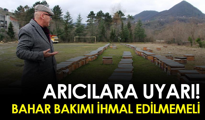 Arıcılara uyarı! Bahar bakımı ihmal edilmemeli
