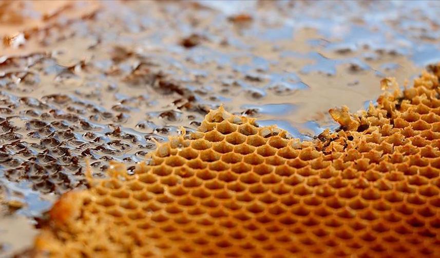 Türkiye'nin 2 aylık bal ihracat rakamları belli oldu