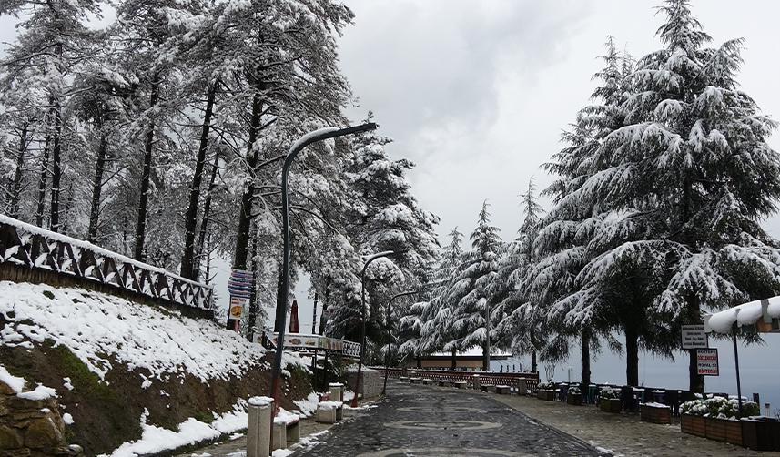 Ordu’da Mart ayının son günlerinde kar güzelliği