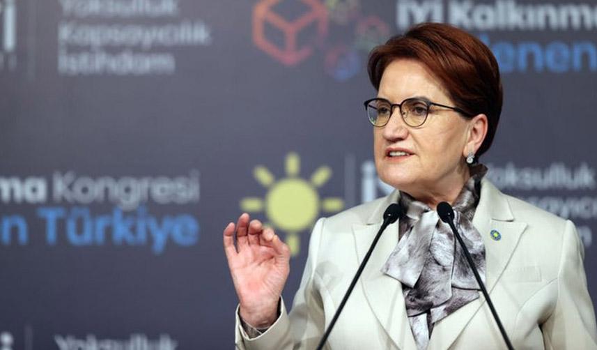 İYİ Parti, 15 ilde temayül yoklaması yapıyor