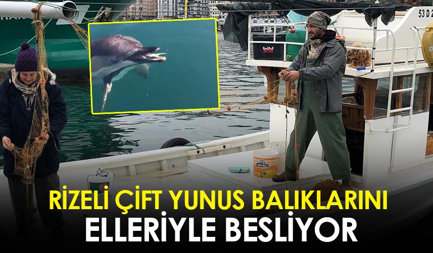 Rizeli çift yunus balıklarını elleriyle besliyor