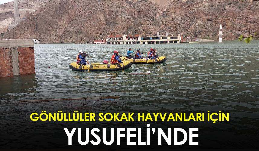 Gönüllüler sokak hayvanları için Yusufeli’nde