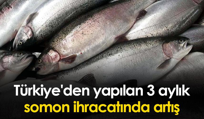 Türkiye'den 3 aylık Türk somonu ihracatında artış