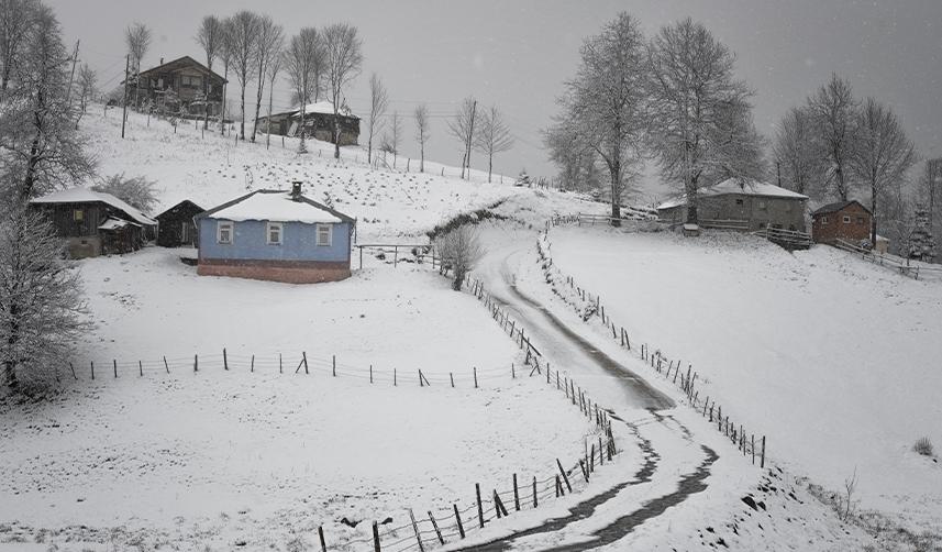 Kadıralak Yaylası'nın "mavi yıldızlar"ı kar altında kaldı
