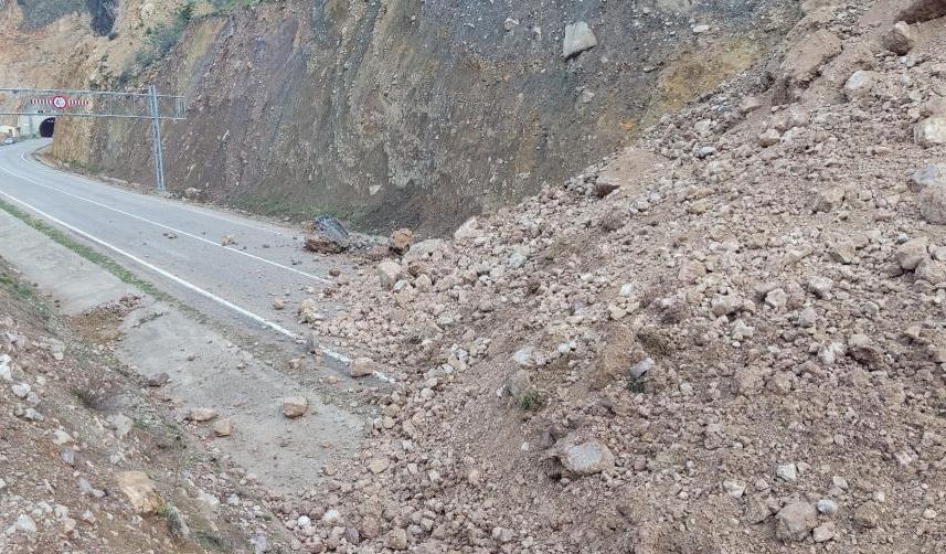 Artvin'de heyelanın kapattığı yol trafiğe açıldı