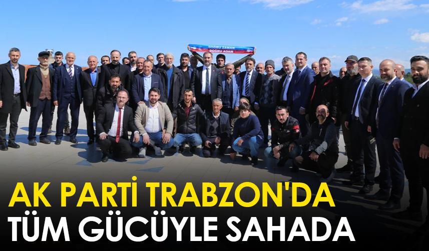 AK Parti Trabzon'da tüm gücüyle sahada