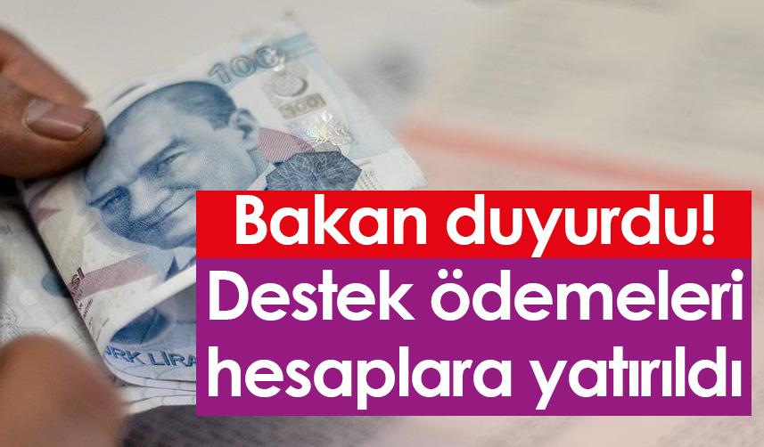 Bakan duyurdu! Destek ödemeleri hesaplara yatırıldı