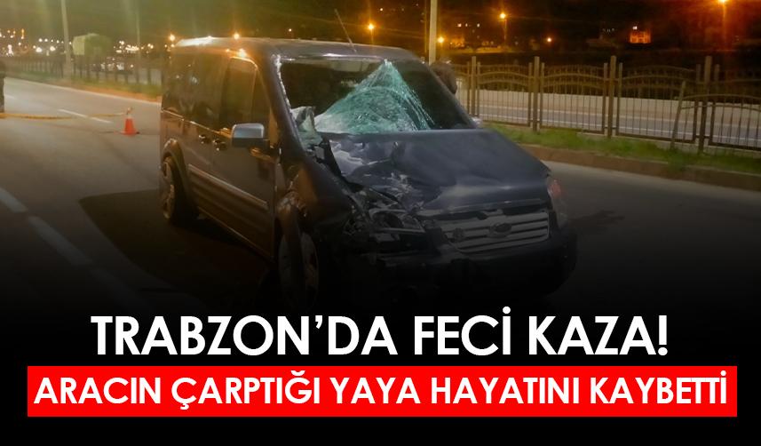 Trabzon'da feci kaza! Aracın çarptığı yaya hayatını kaybetti