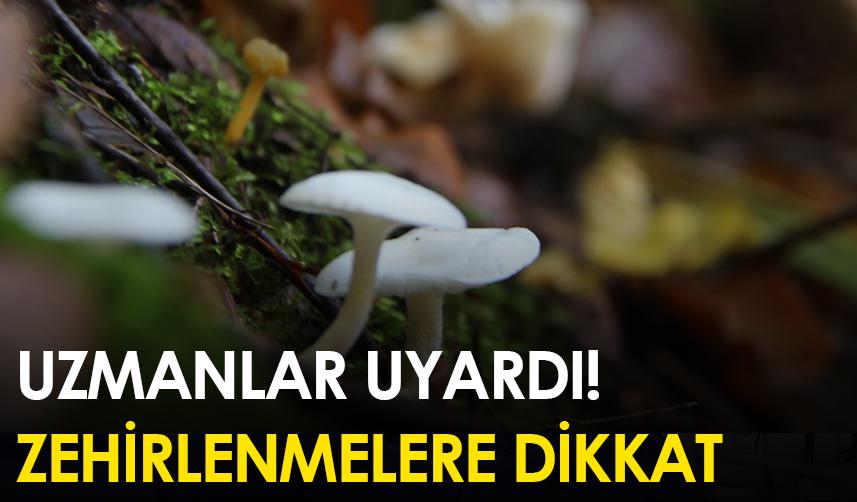Uzmanlar uyardı! Zehirlenmelere dikkat