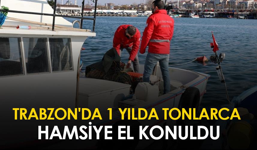 Trabzon'da 1 yıl boyunca tonlarca hamsiye el konuldu