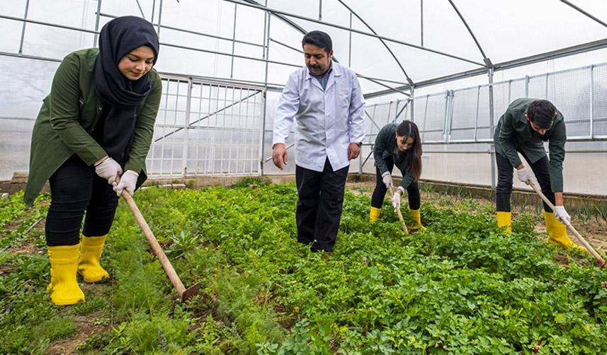 Milli Eğitim Bakanlığından tarım liseleri hamlesi