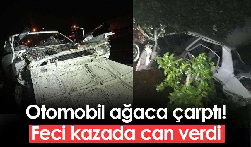 Ordu'da otomobil ağaca çarptı! 1 ölü