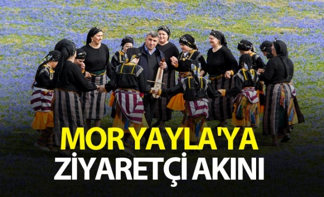 Trabzon'un Mor yaylasına ziyaretçi akını