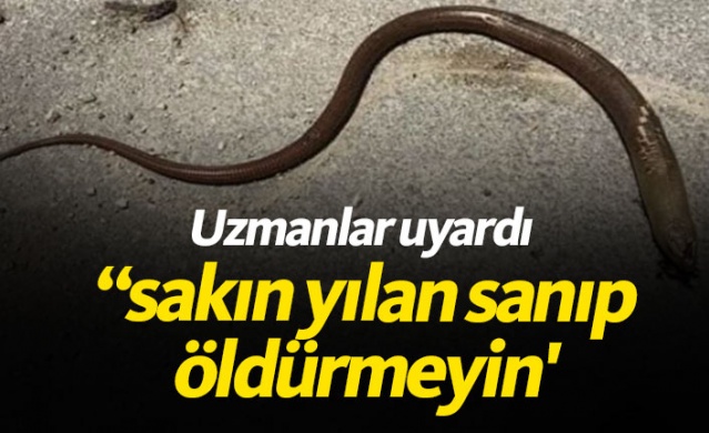 Sakın yılan sanıp öldürmeyin!