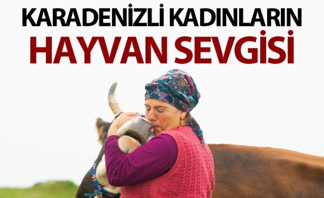 Karadenizli kadınların hayvan sevgisi