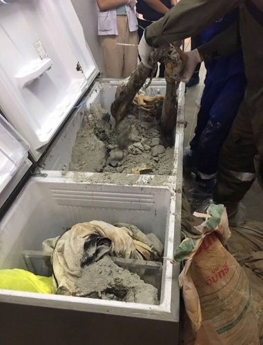 İş kadınının cesedi buzdolabından çıktı!