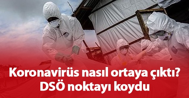 Koronavirüs nasıl ortaya çıktı? DSÖ noktayı koydu.