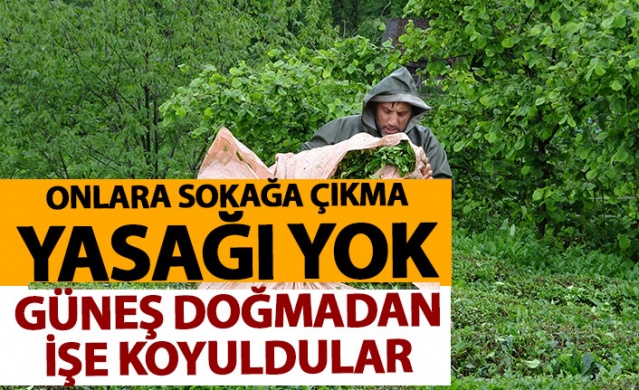 Onlara sokağa çıkma yasağı yok! Güneş doğmadan yola koyuldular