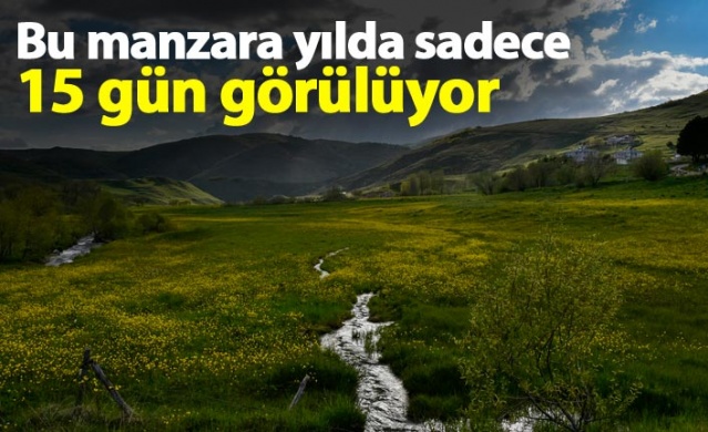 Yılda sadece 15 gün görülen manzara