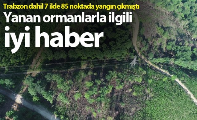 Trabzon dahil 7 ilde yangın çıkmıştı! Foto Haber