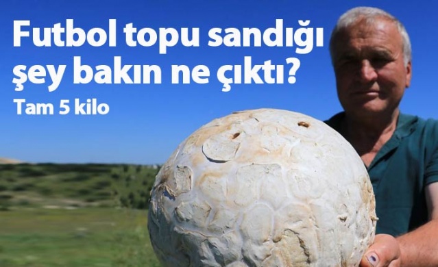 Futbol topu sandığı şey bakın ne çıktı?