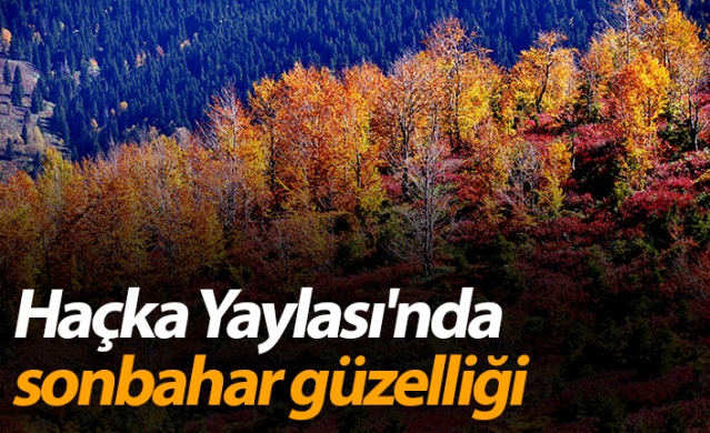 Haçka Yaylası'nda sonbahar güzelliği