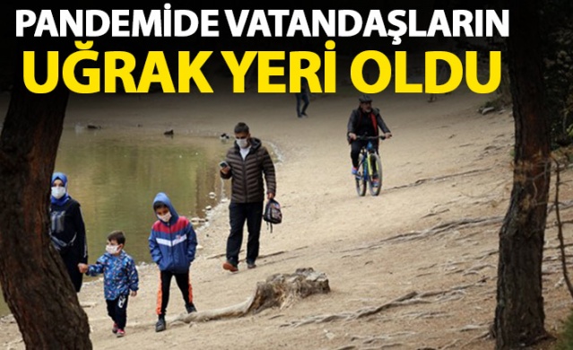 Limni Gölü'ne ziyaretçi akını