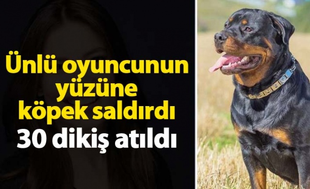 Hazal Erişkin'in yüzünü köpek parçaladı! Hazal Erişkin kimdir?