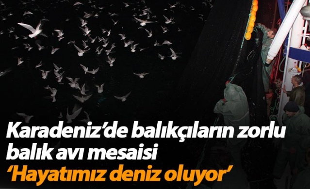Karadeniz’de balıkçıların zorlu balık avı mesaisi