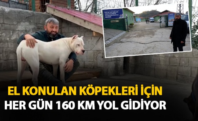 El konulan köpeklerini her gün görmeye gidiyor