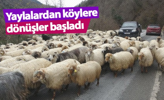 Yaylalardan köylere dönüşler başladı