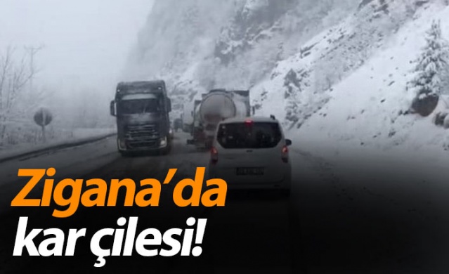 Zigana'da kar çilesi