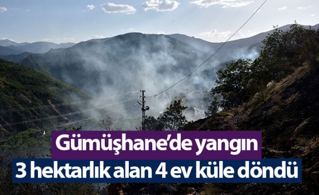 Gümüşhane’de yangın! 3 hektarlık alan 4 ev küle döndü