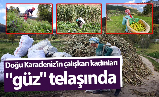 Doğu Karadeniz'in çalışkan kadınları "güz" telaşında
