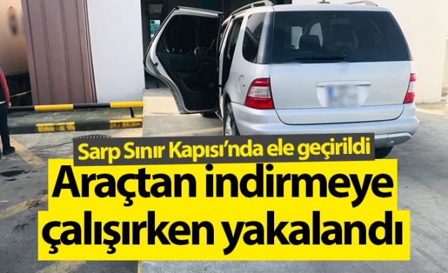 Sarp Sınır Kapısı’nda bin 100 adet su kaplumbağası ele geçirildi. Foto haber