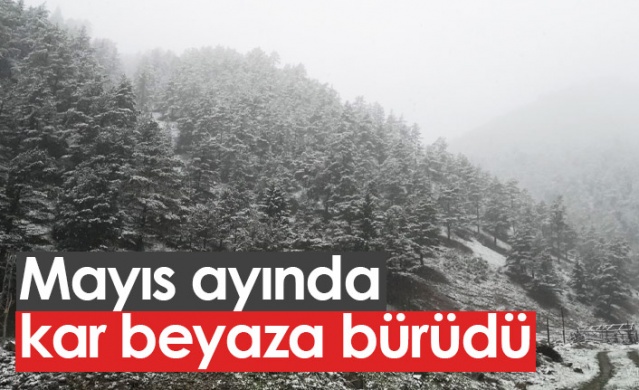 Mayıs ayında kar beyaza bürüdü. Foto Galeri