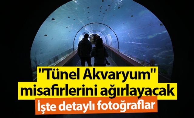 "Tünel Akvaryum" misafirlerini ağırlayacak! İşte detaylar fotoğraflar. Foto Galeri