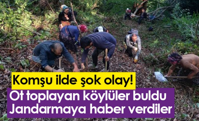 Gümüşhane'de şok olay! Ot toplayan köylüler insan kemikleri buldu. Foto Haber