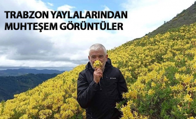 Trabzon yaylalarından muhteşem görüntüler. Foto Galeri
