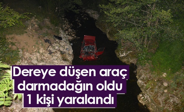 Ordu'da dereye düşen araç paramparça oldu, 1 kişi yaralandı. Foto Haber