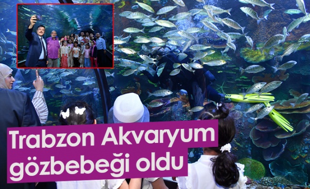 ‘Trabzon Akvaryum’ ziyaretçilerin gözbebeği oldu! Foto Galeri