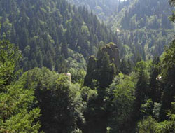 Trabzon pilot bölge seçildi